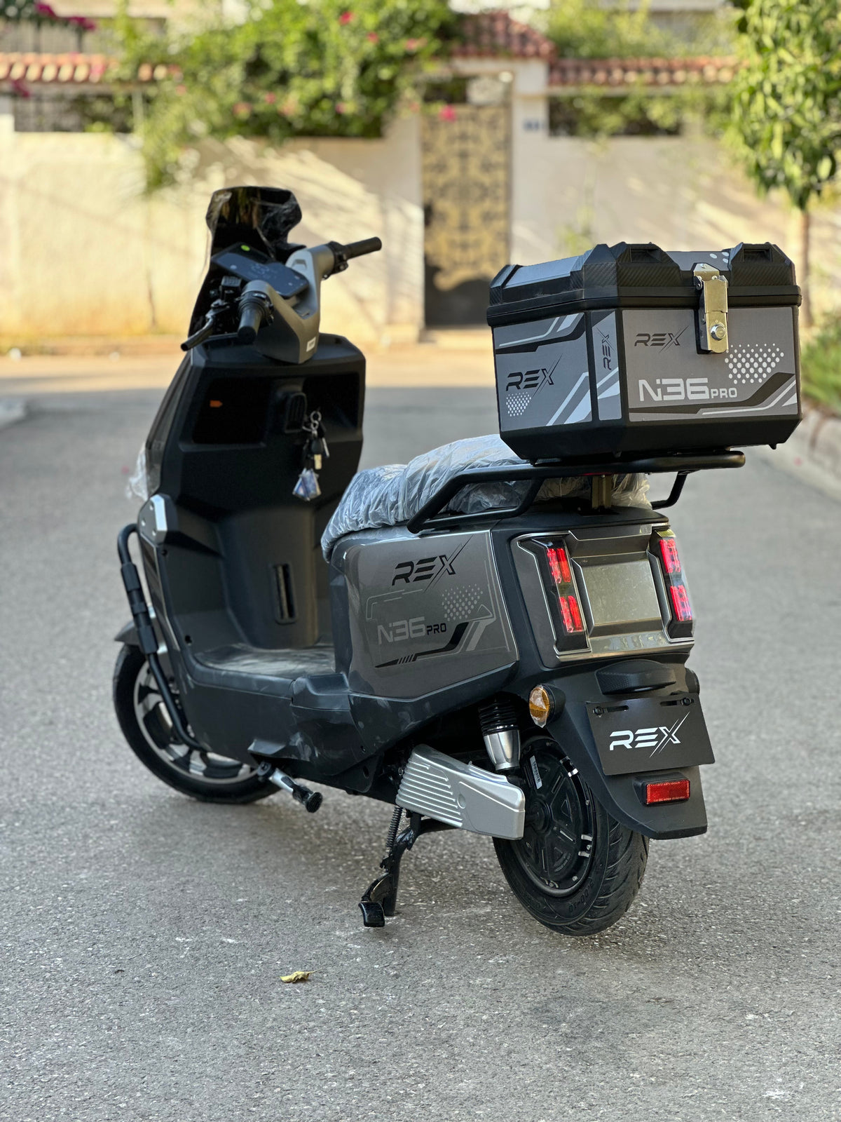 Rex N36