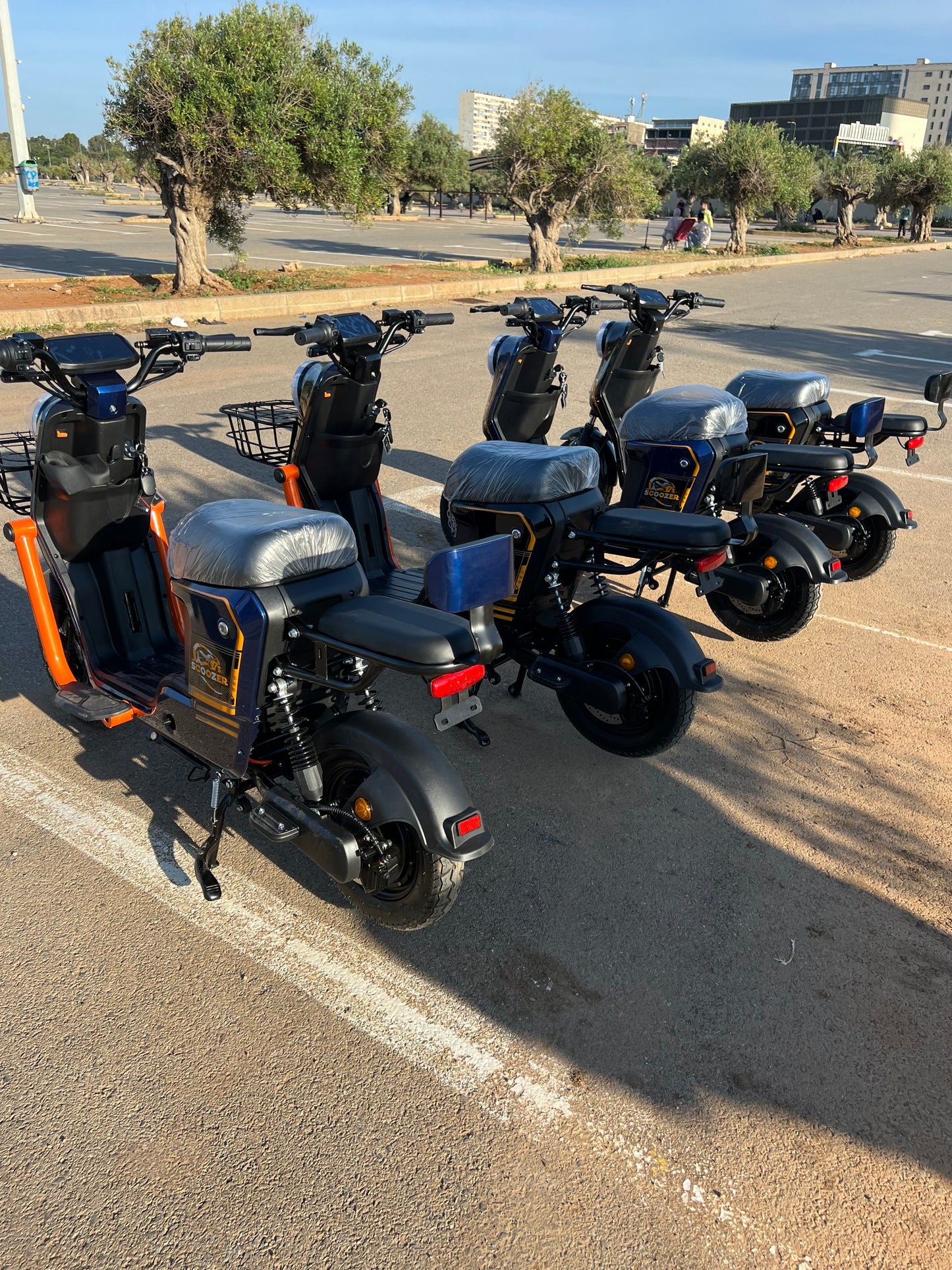 Scooter Scoozer 1200w