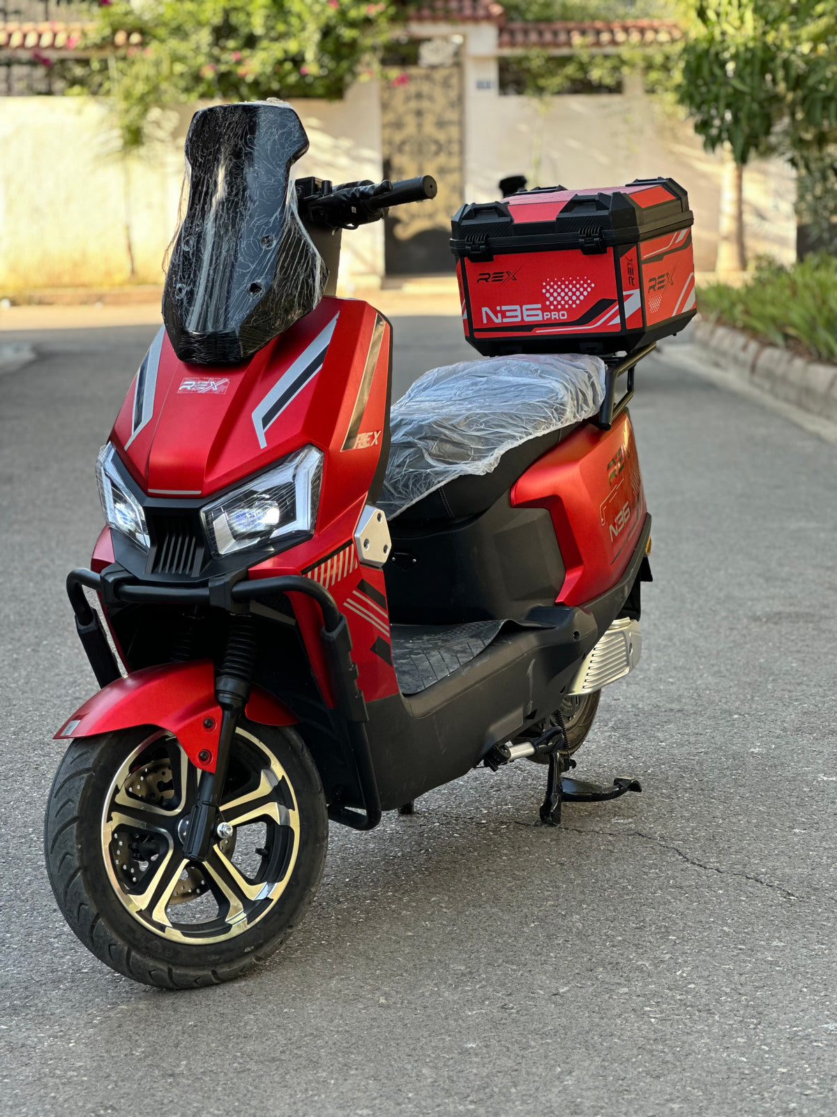 Rex N36