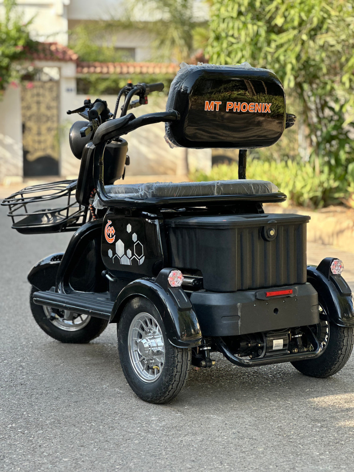 X3 Mt Phonix