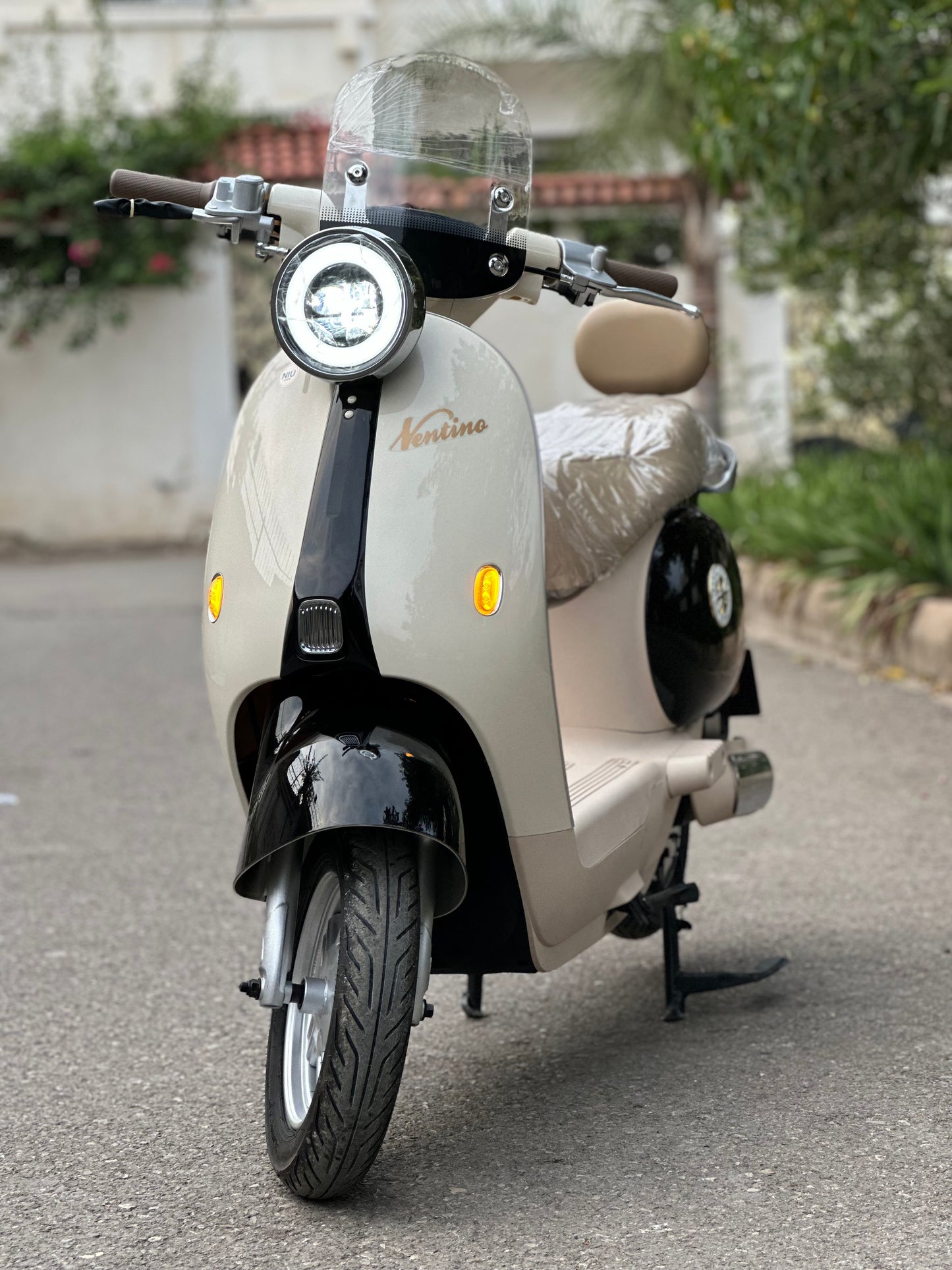 Niu Ventino