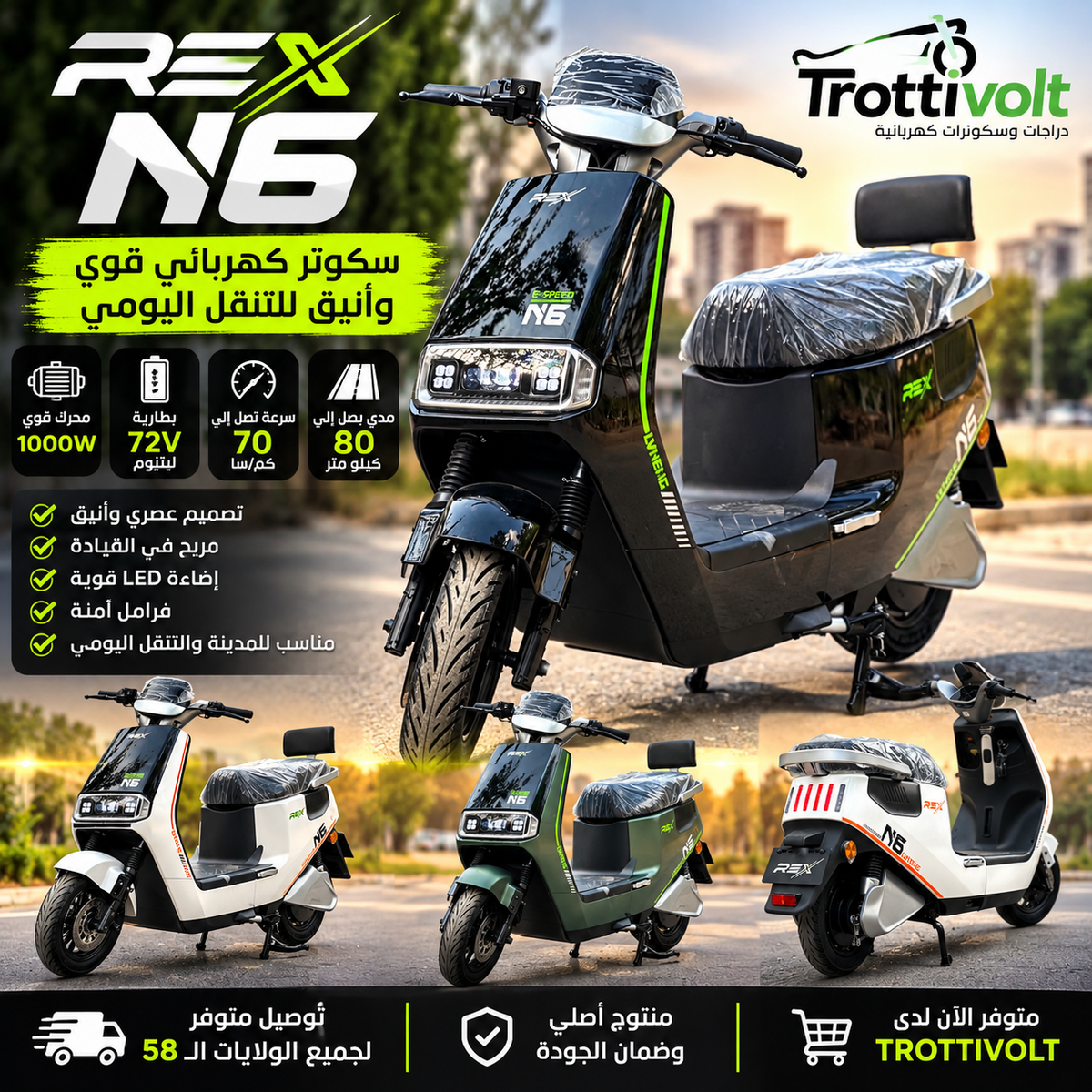 Rex n6