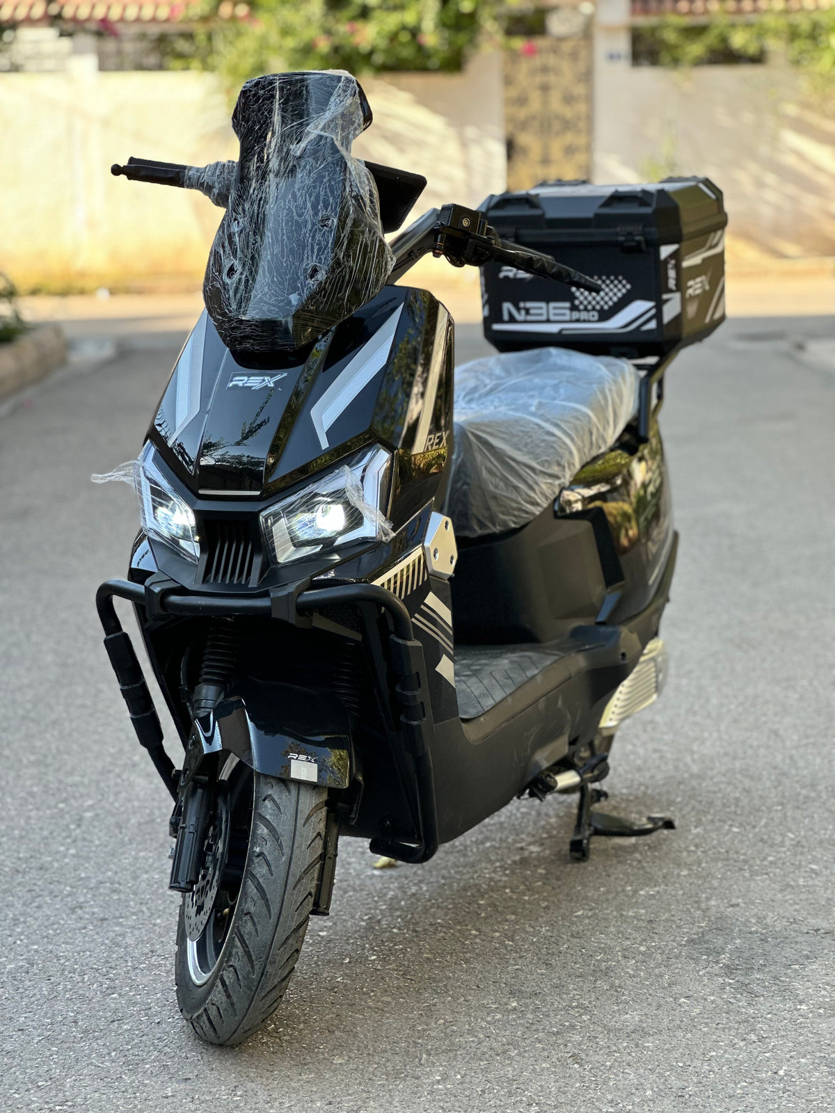 Rex N36