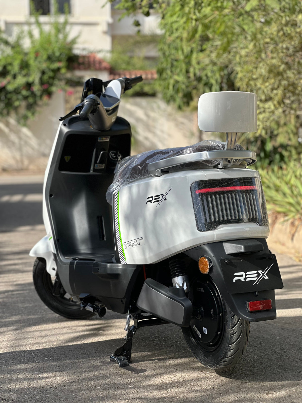 Rex LIVNENG