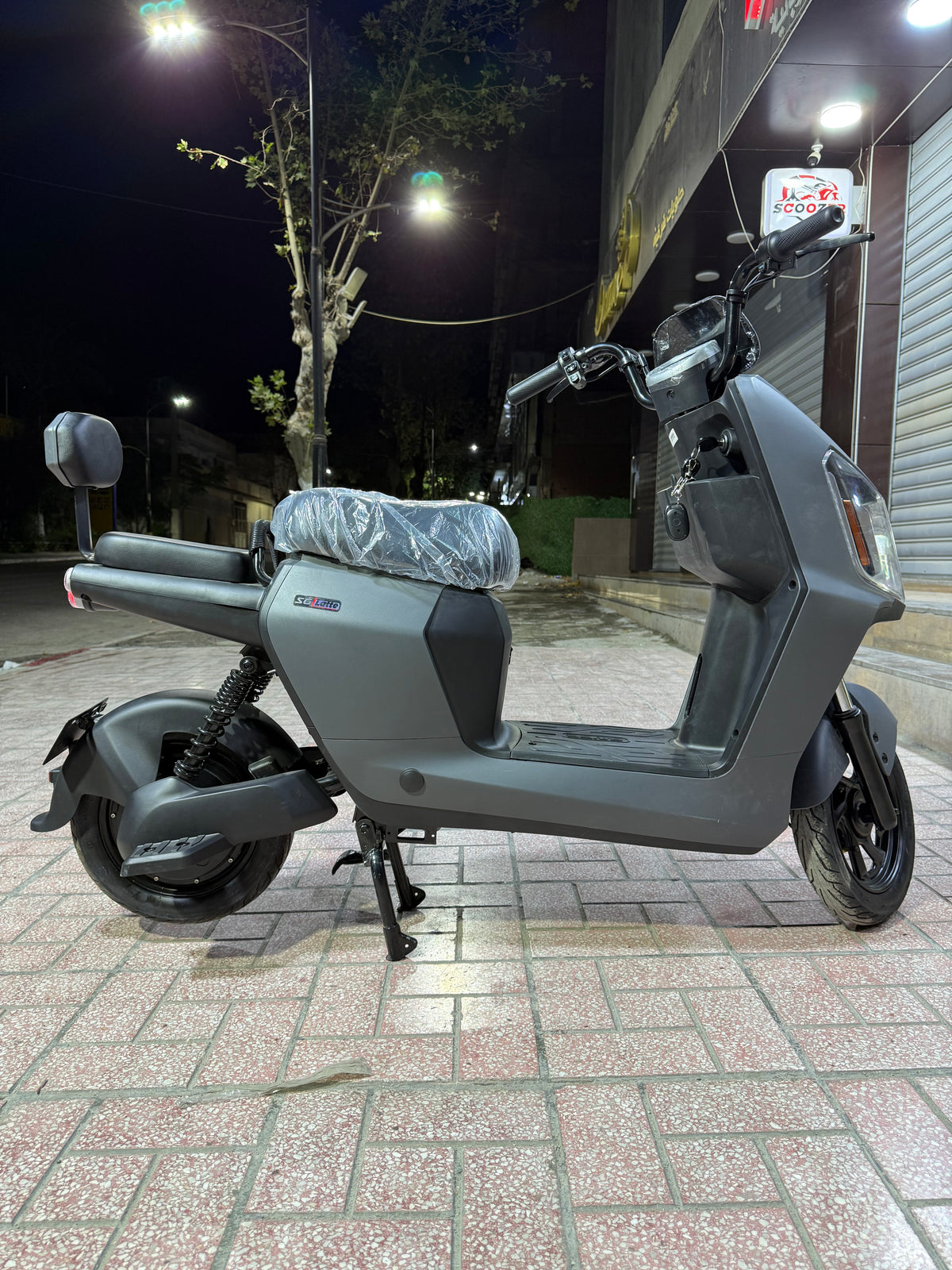 Rex Venti 3