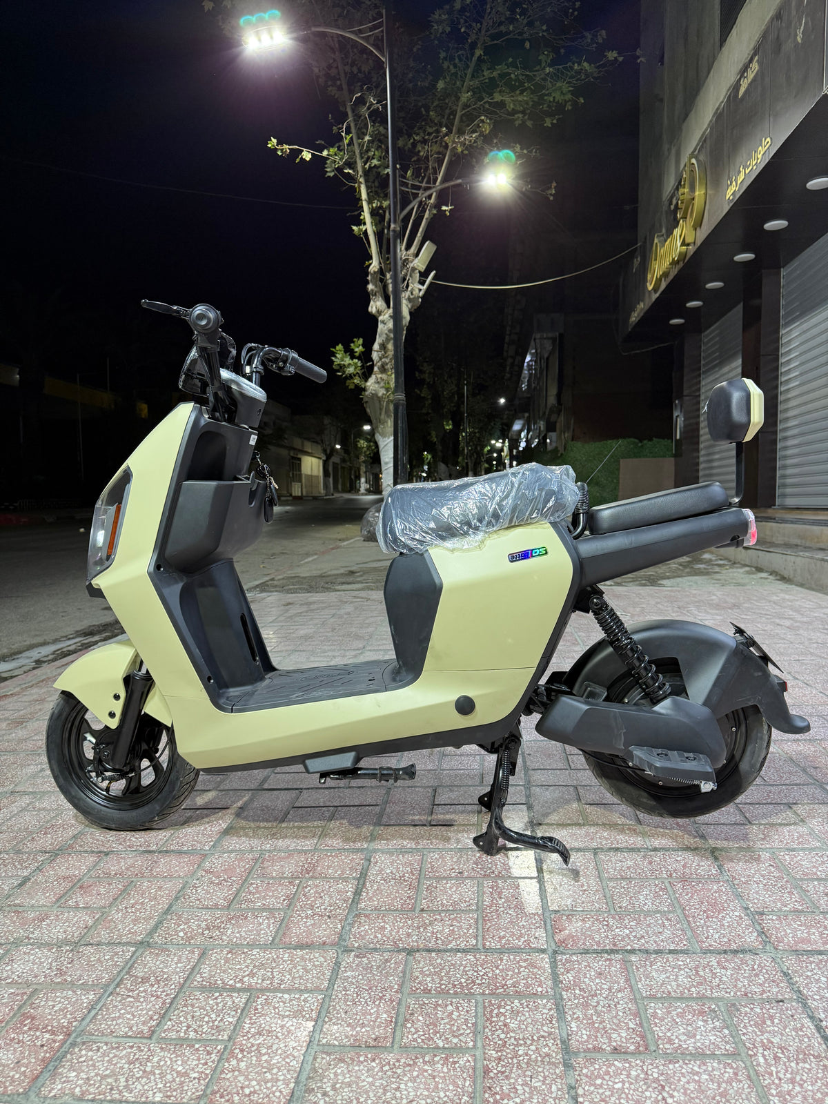 Rex Venti 3
