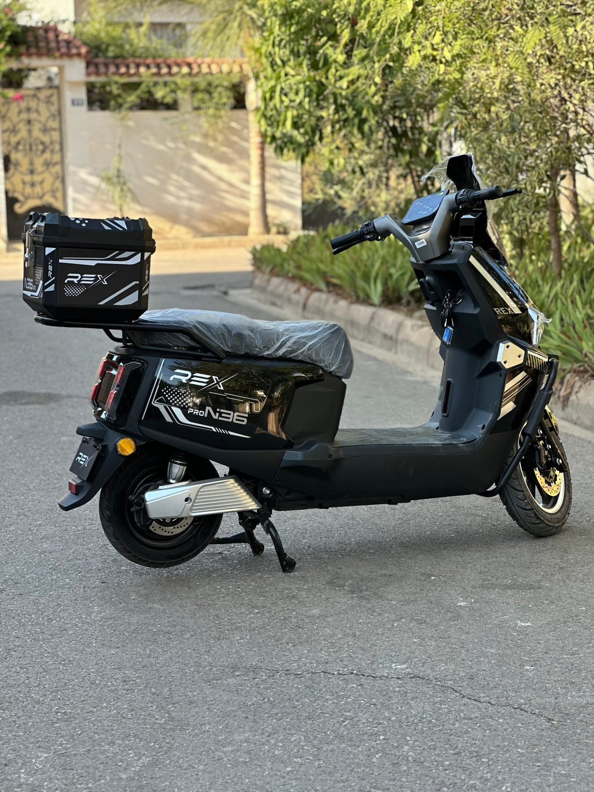 Rex N36