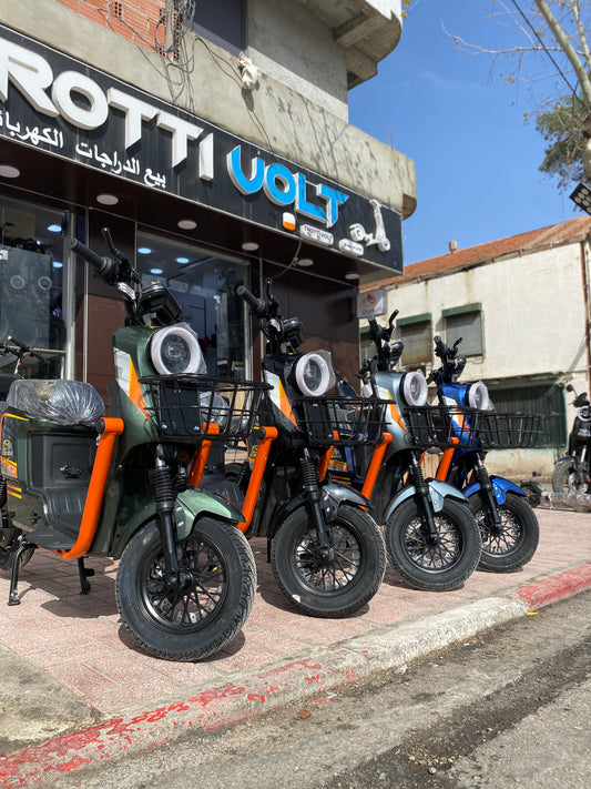 (Lithium ) Scoozer x9 1200w