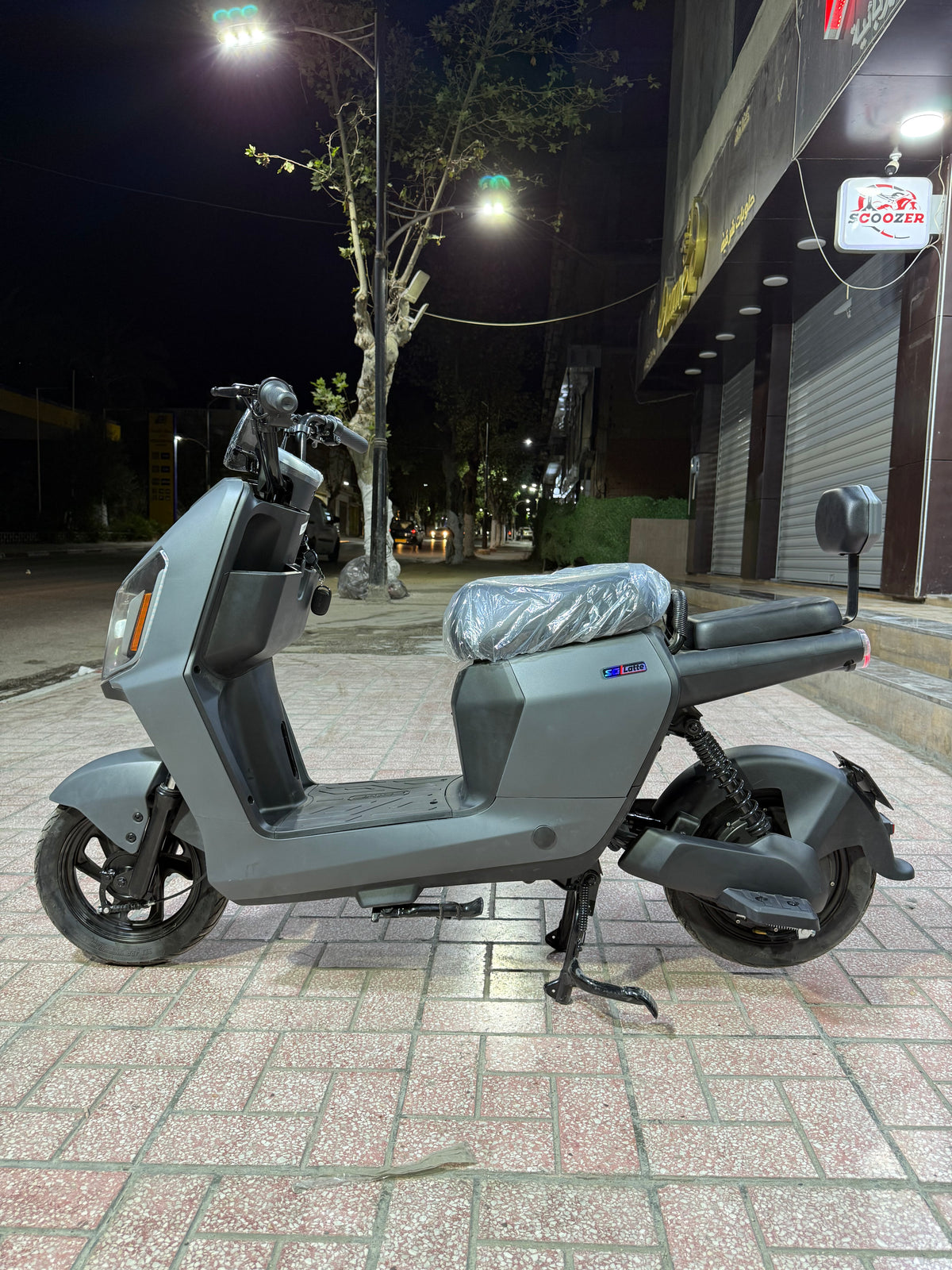 Rex Venti 3