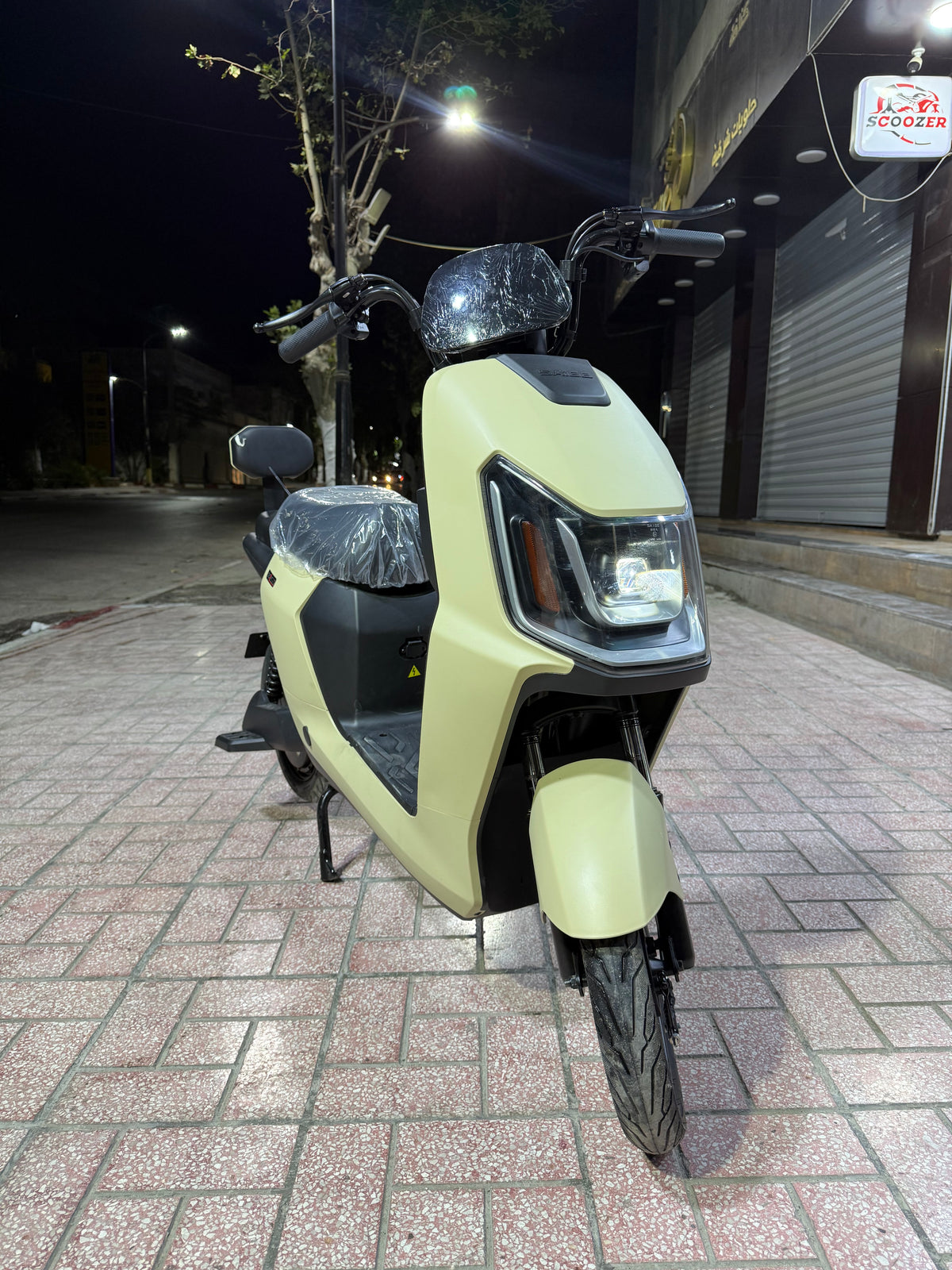 Rex Venti 3