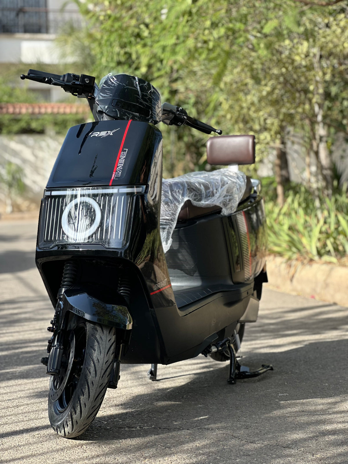 Rex LIVNENG