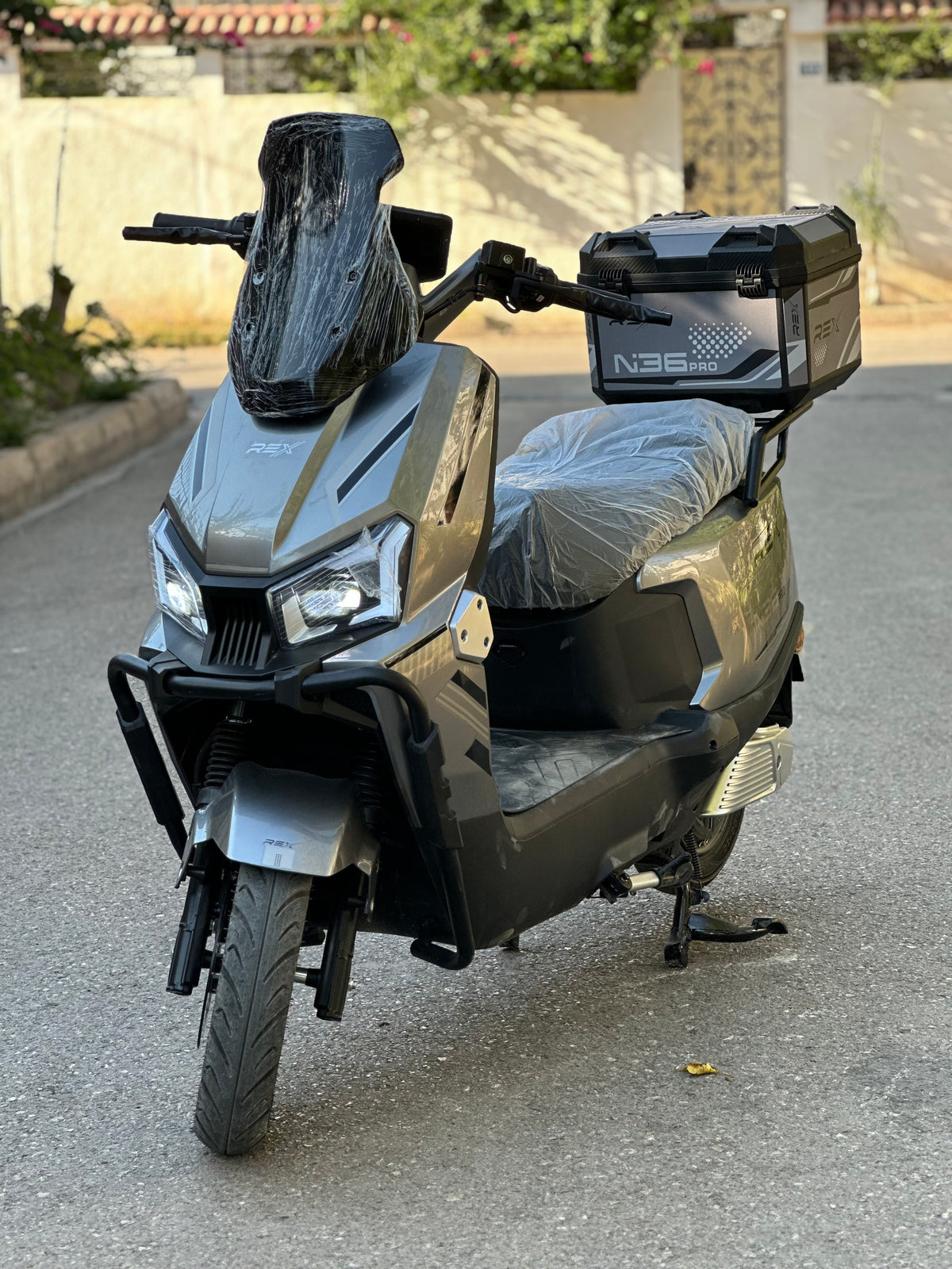 Rex N36