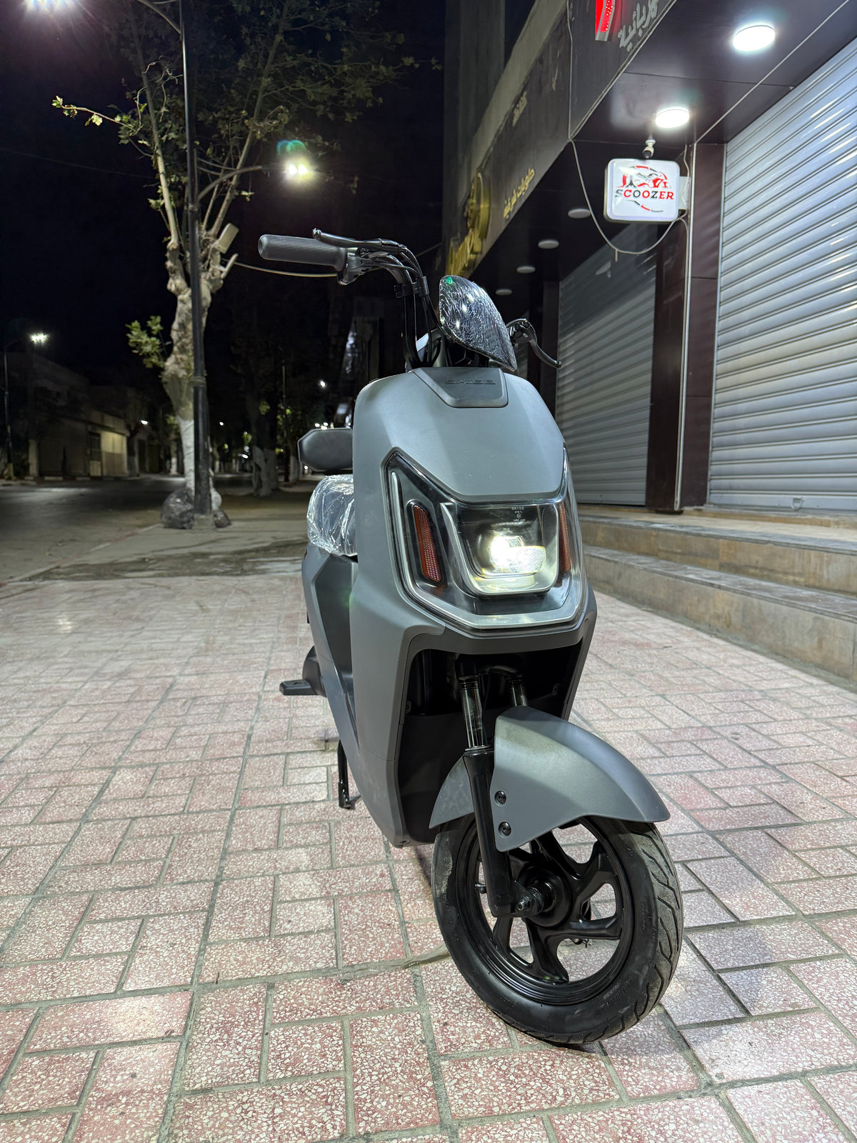 Rex Venti 3