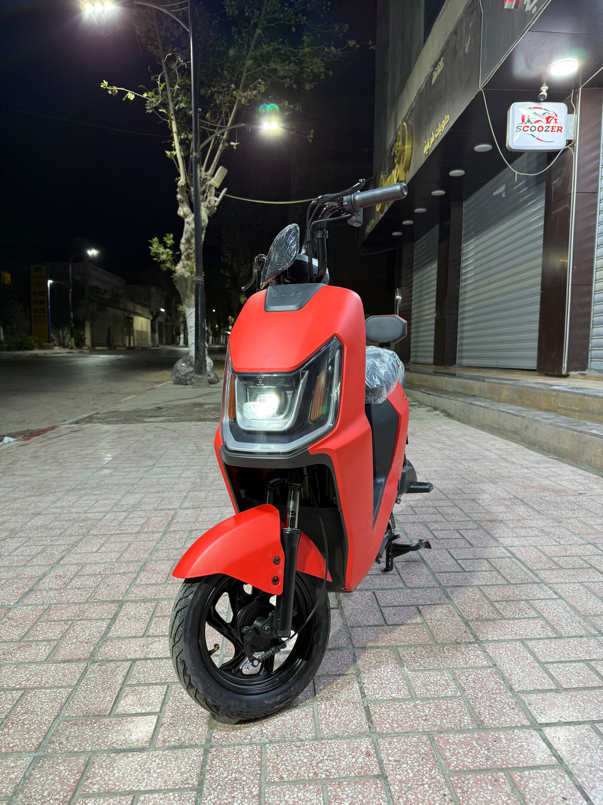 Rex Venti 3