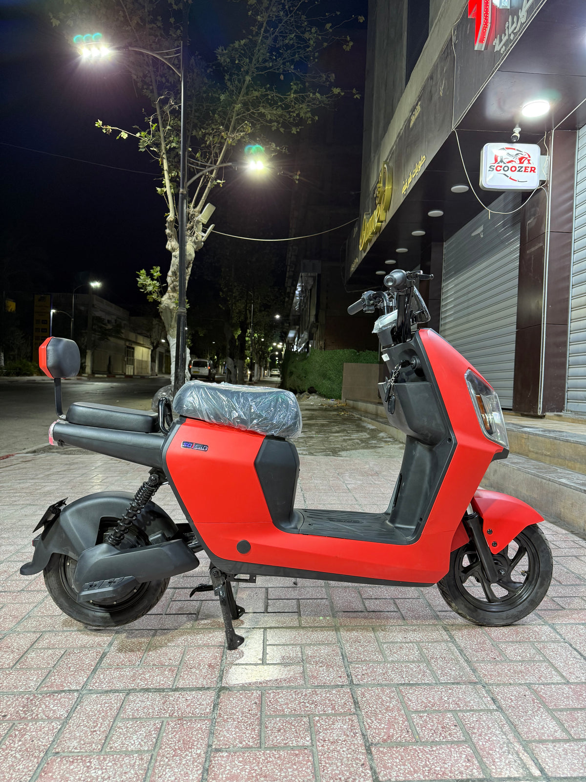 Rex Venti 3