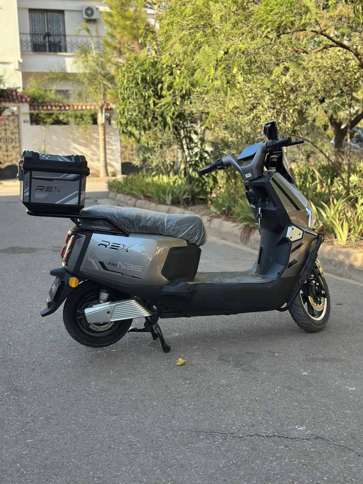 Rex N36