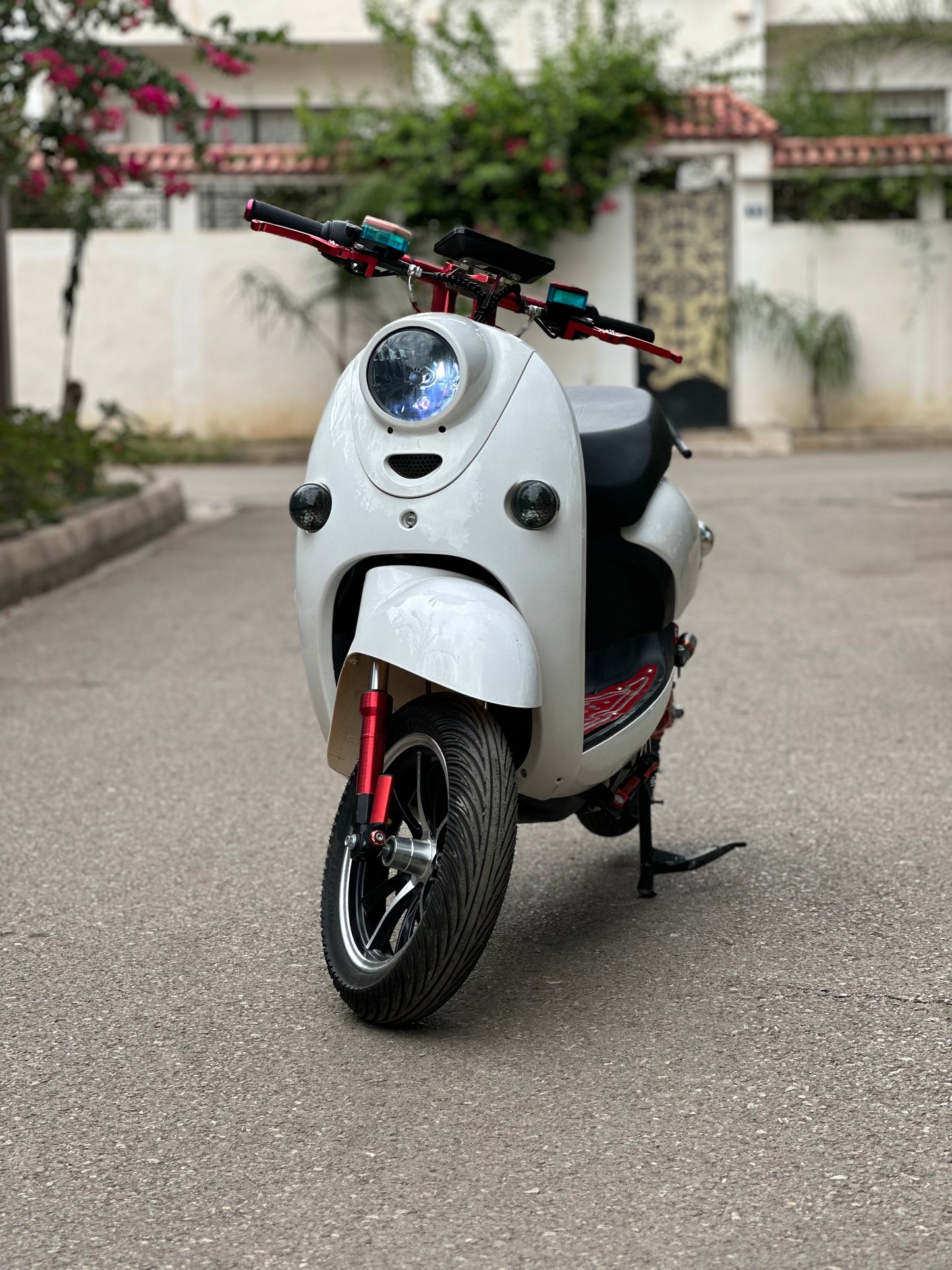 Rissol scooter 2000w