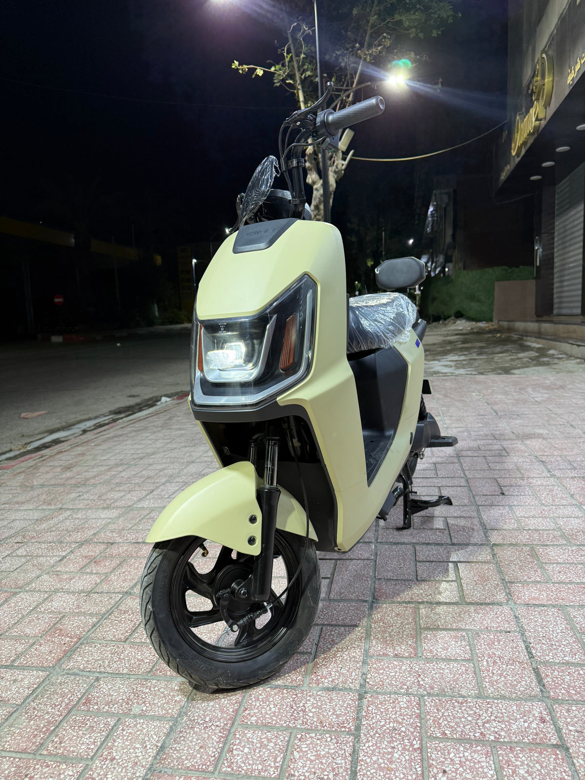 Rex Venti 3