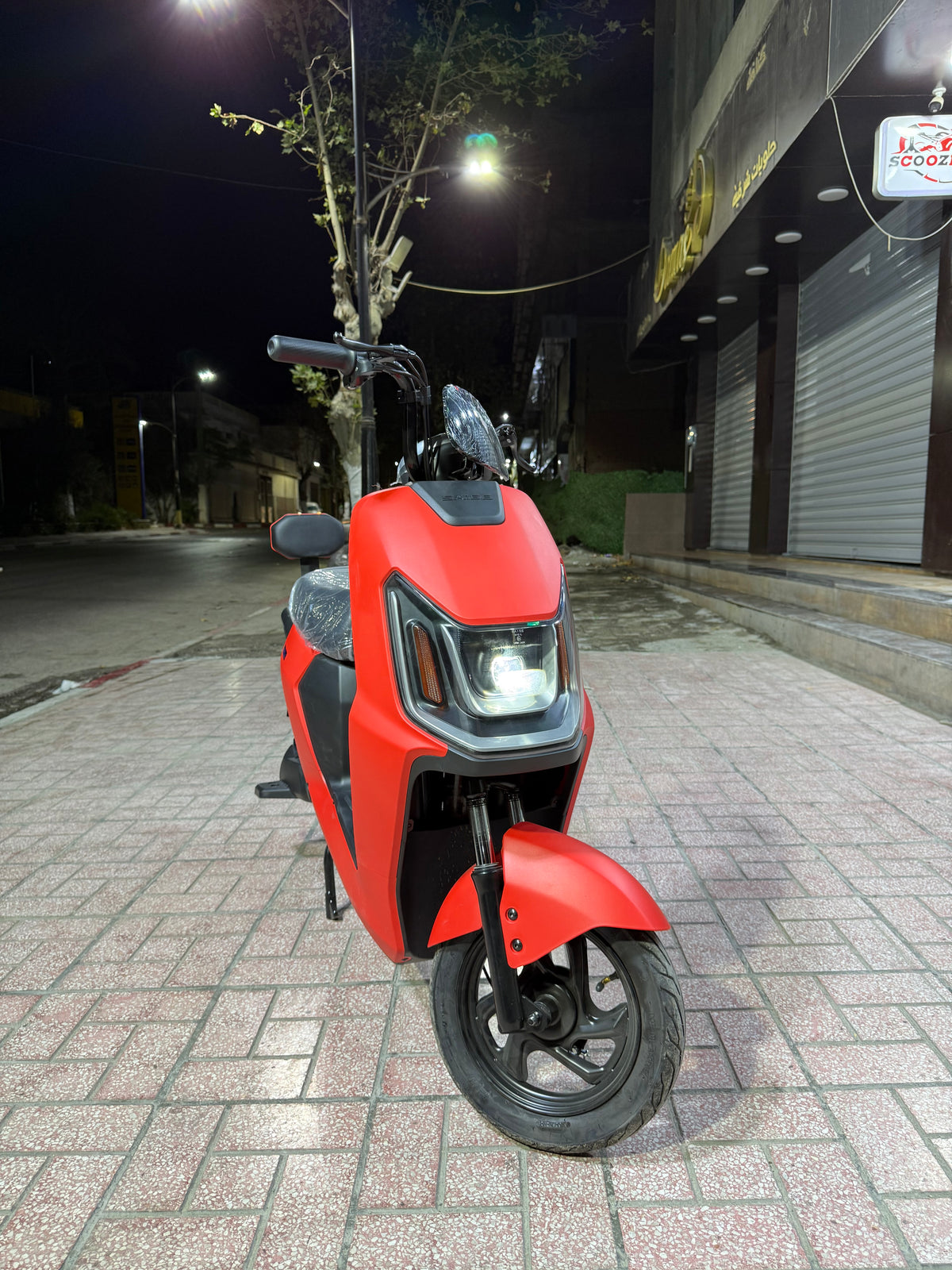 Rex Venti 3