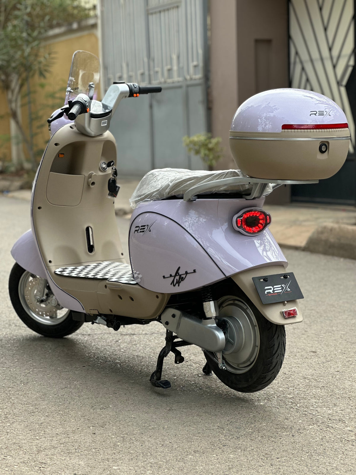Rex cappuccino