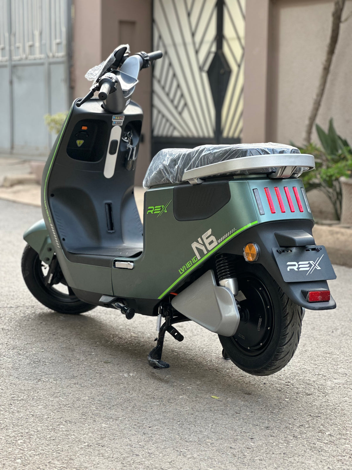 Rex n6