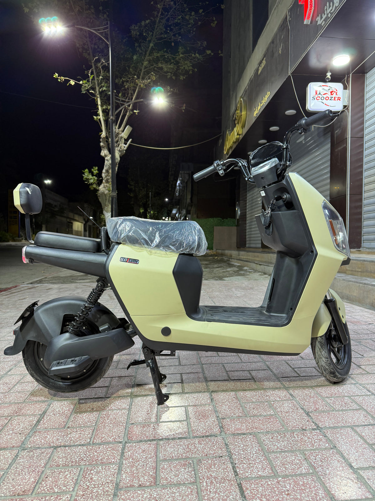 Rex Venti 3
