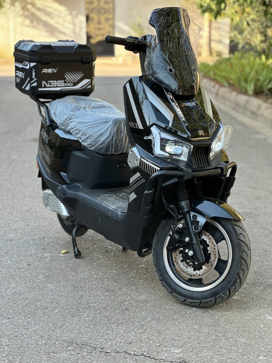 Rex N36