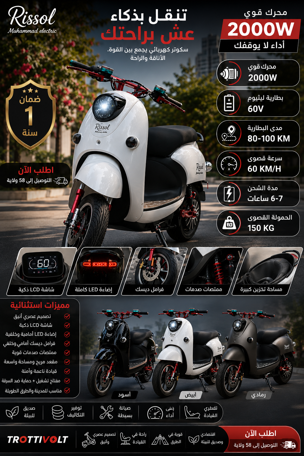 Rissol scooter 2000w