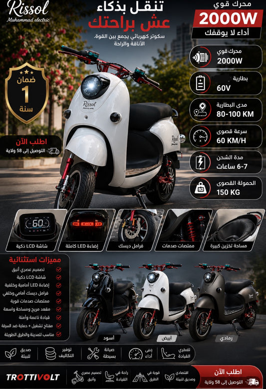 Rissol scooter 2000w