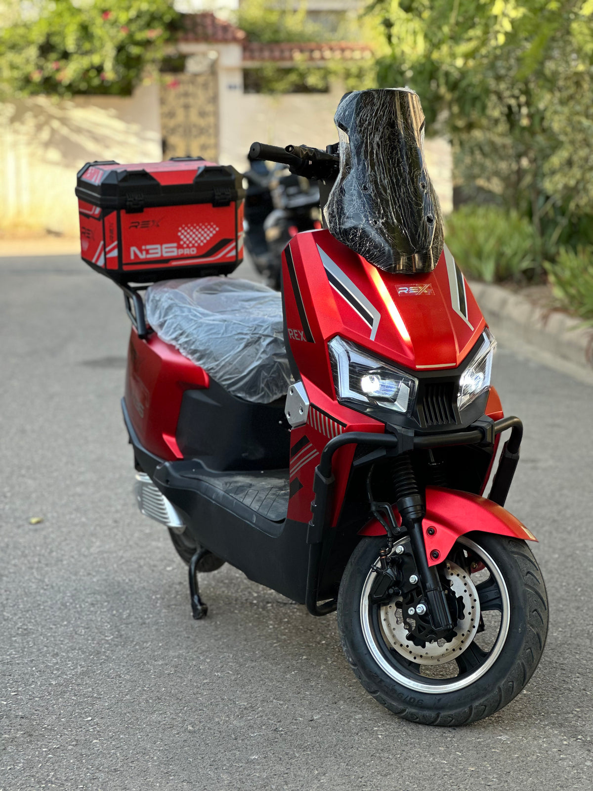 Rex N36
