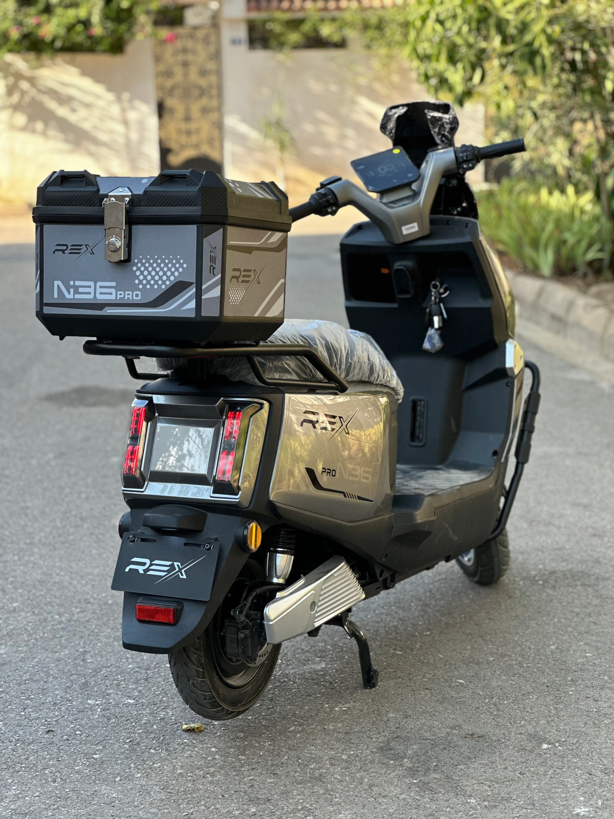 Rex N36