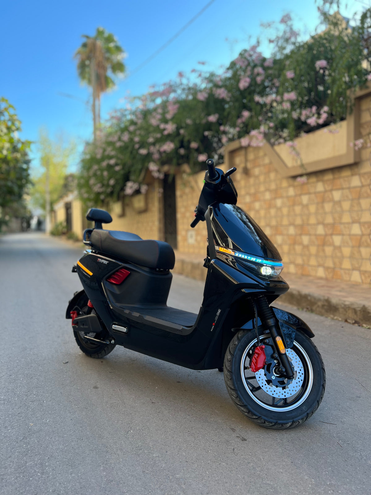 Niu tmax