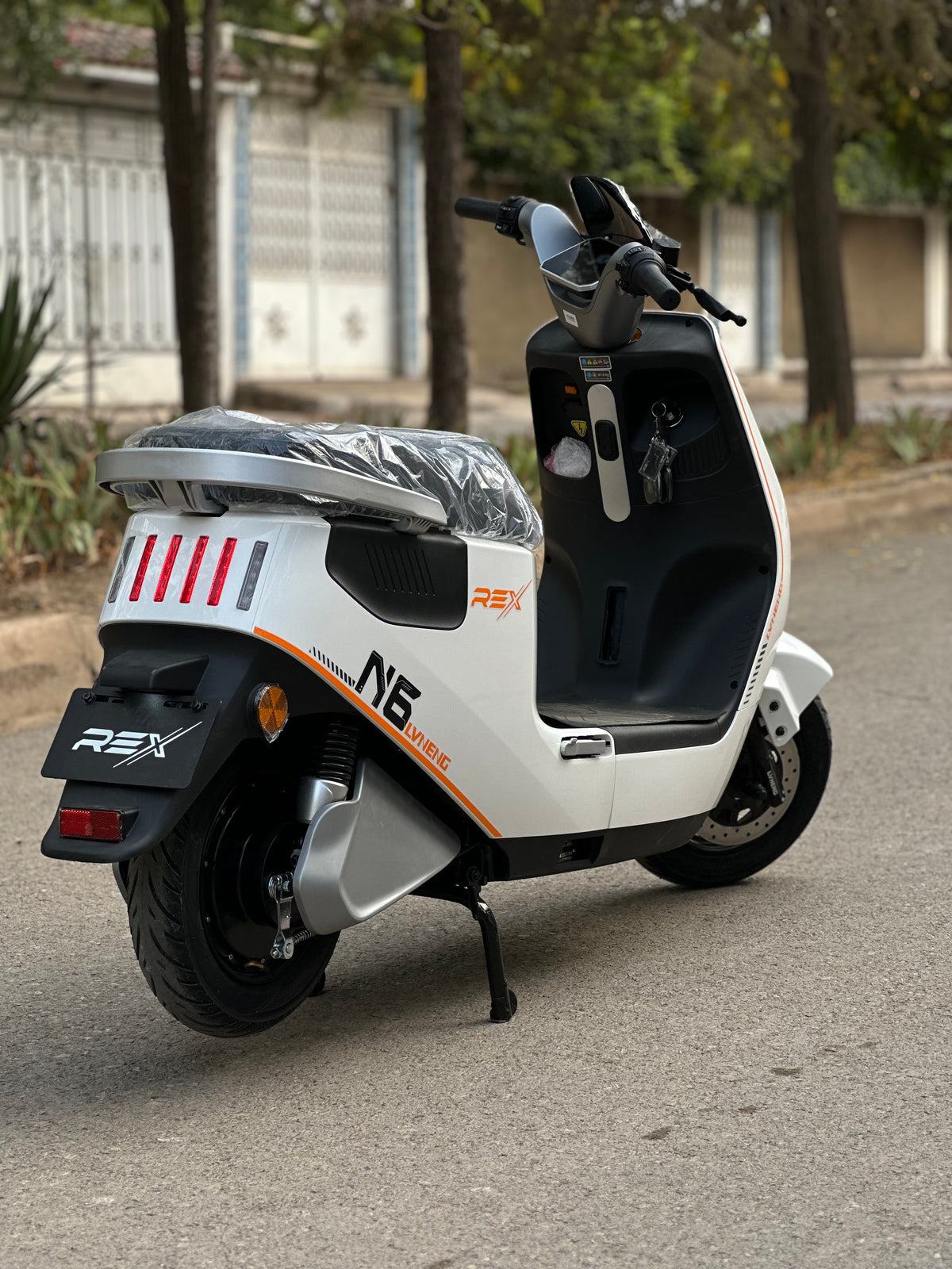 Rex n6