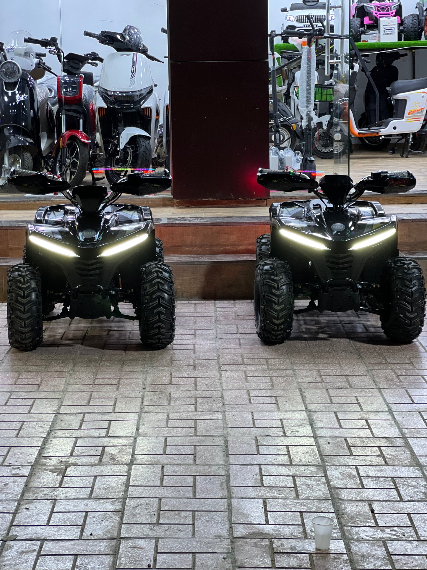 Quad électrique