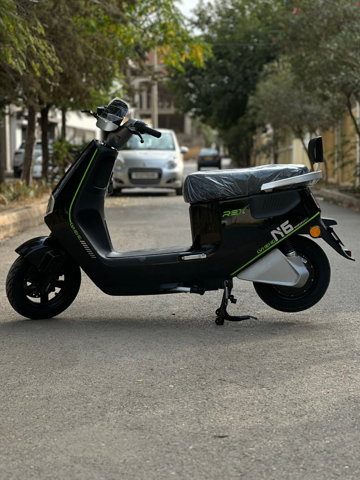 Rex n6