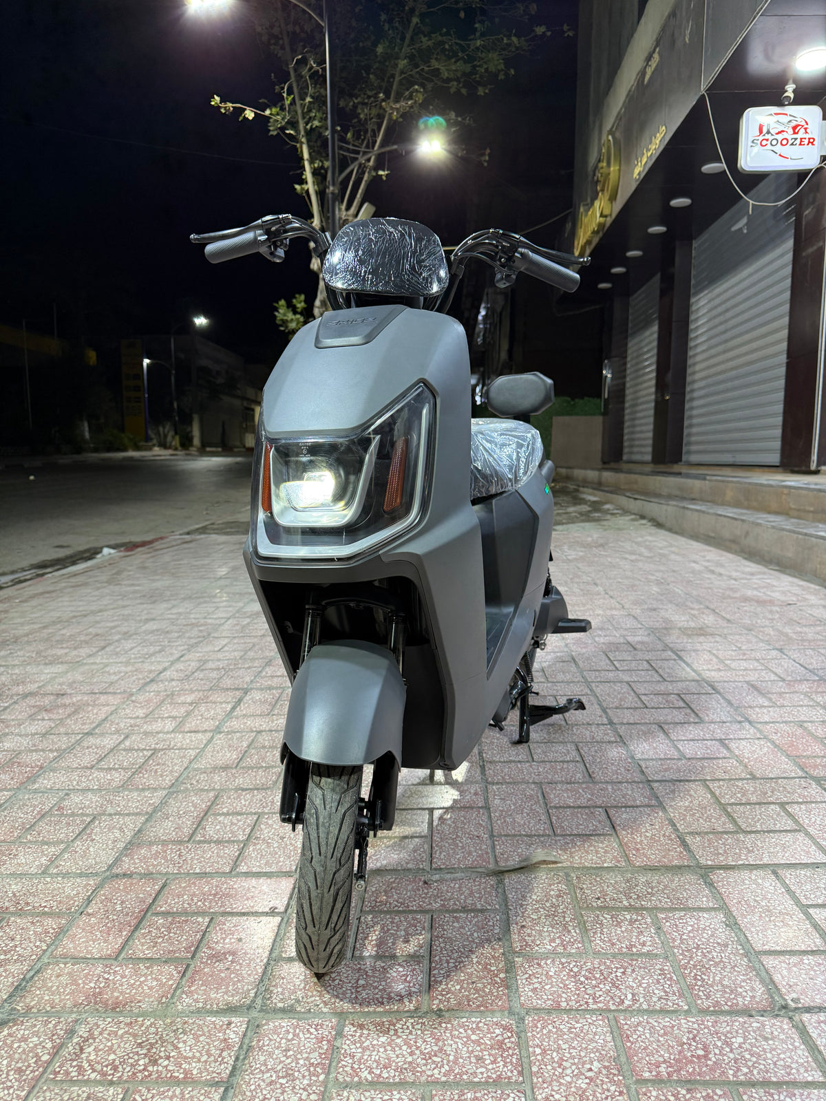 Rex Venti 3