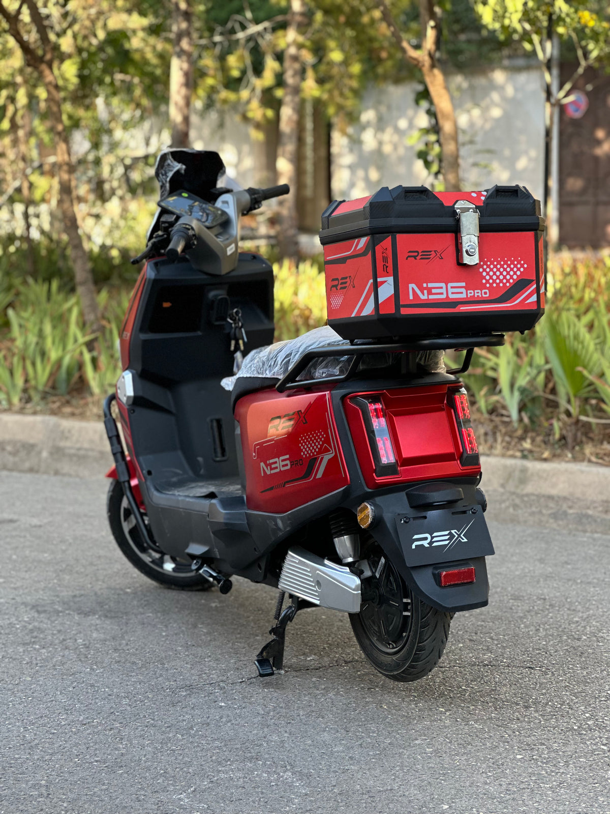 Rex N36