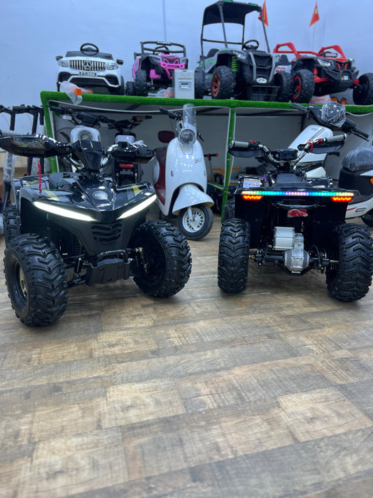 Quad électrique