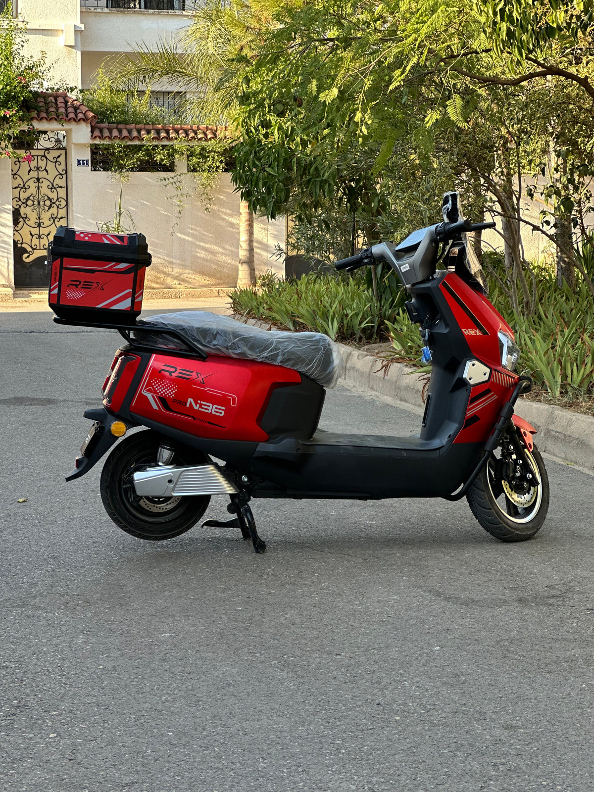 Rex N36