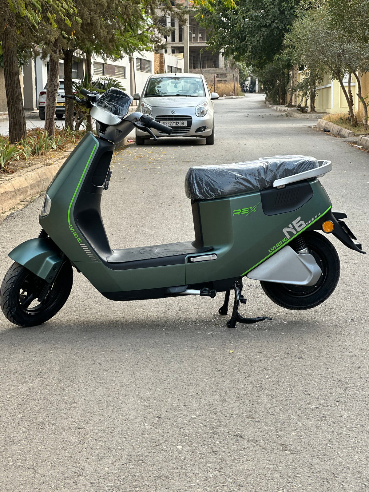 Rex n6