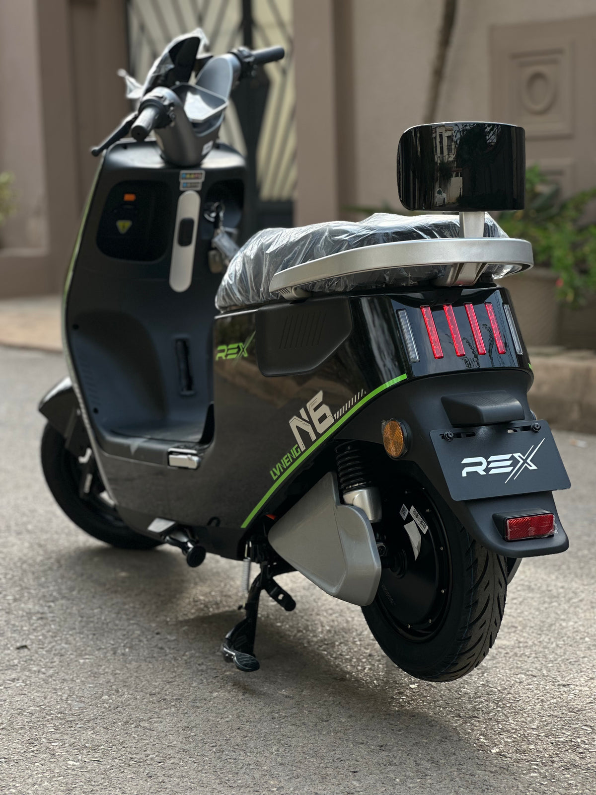 Rex n6