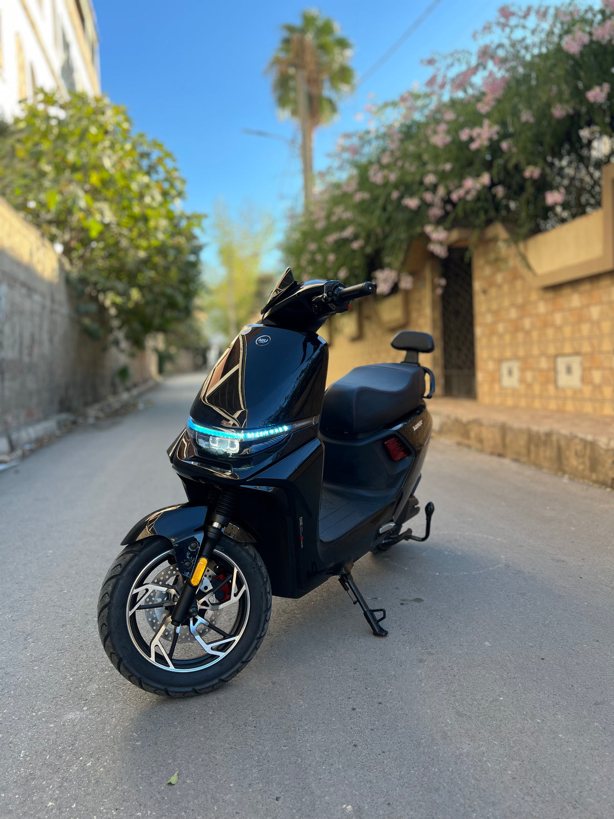 Niu tmax