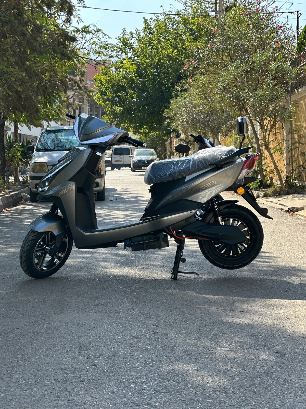 Rex Coubra