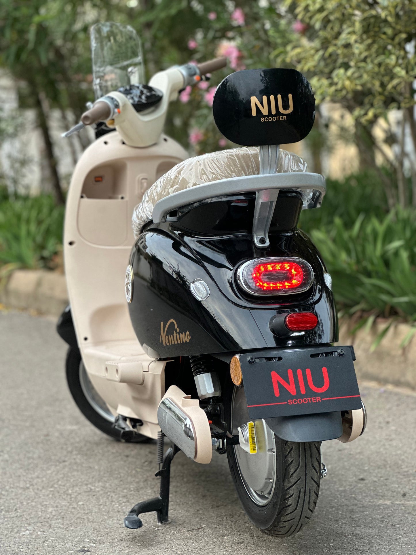 Niu Ventino
