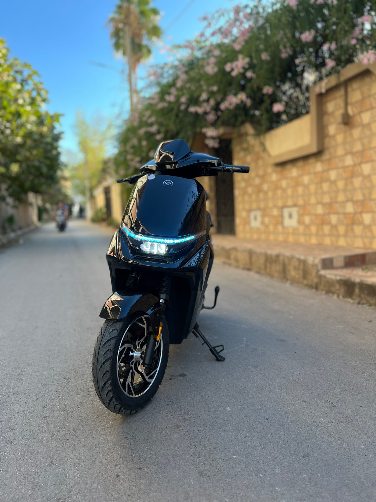 Niu tmax