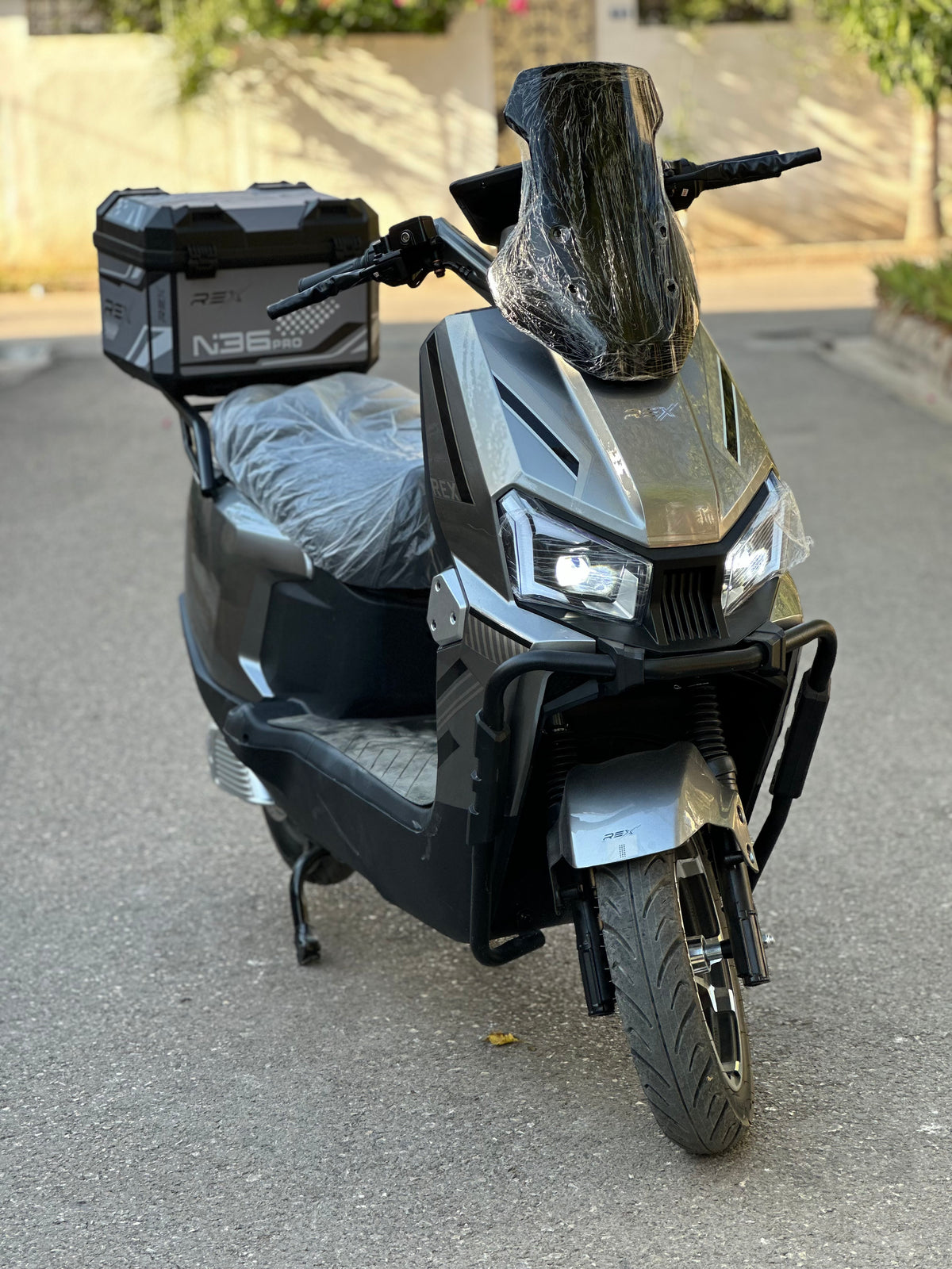 Rex N36