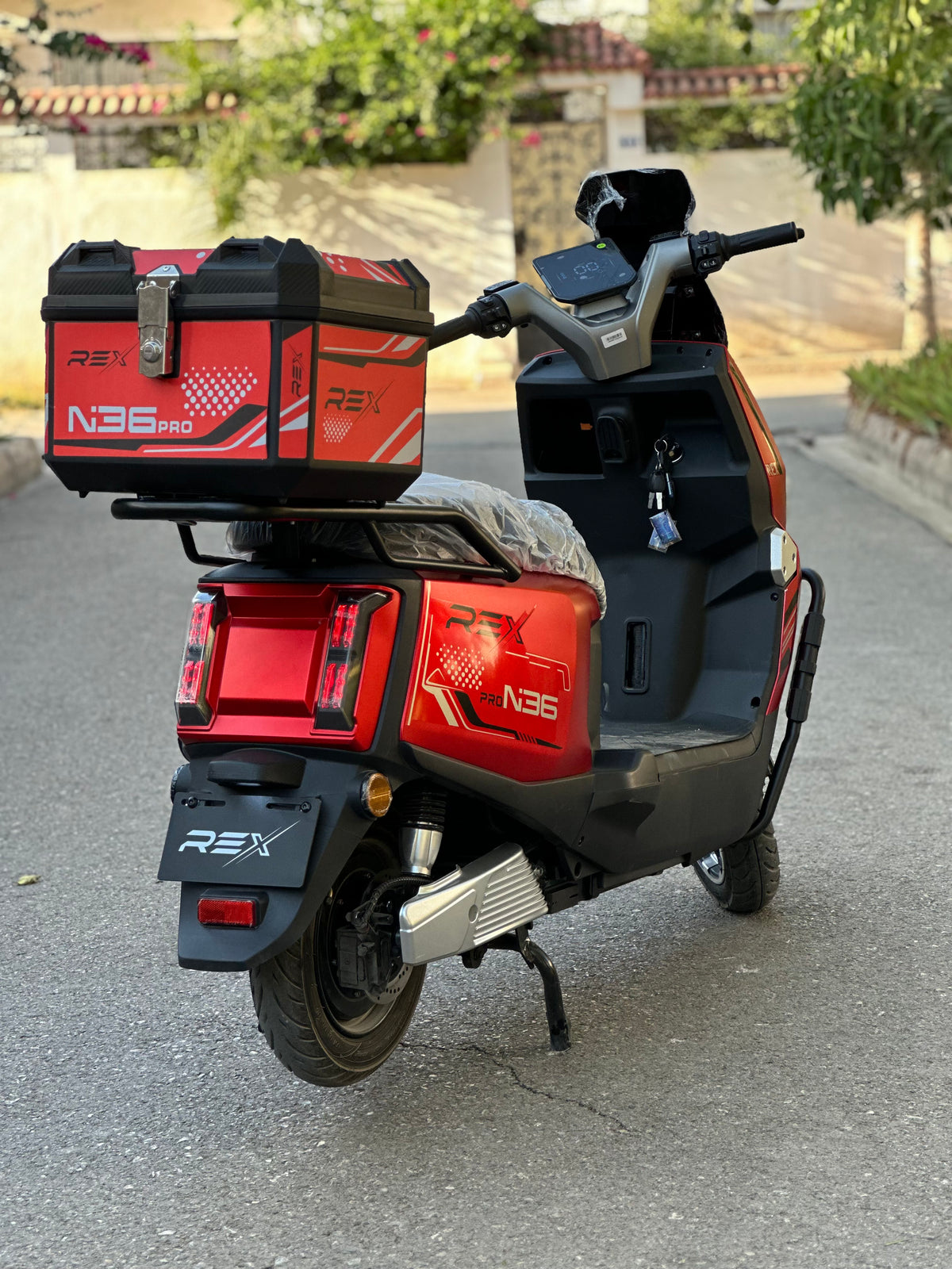 Rex N36
